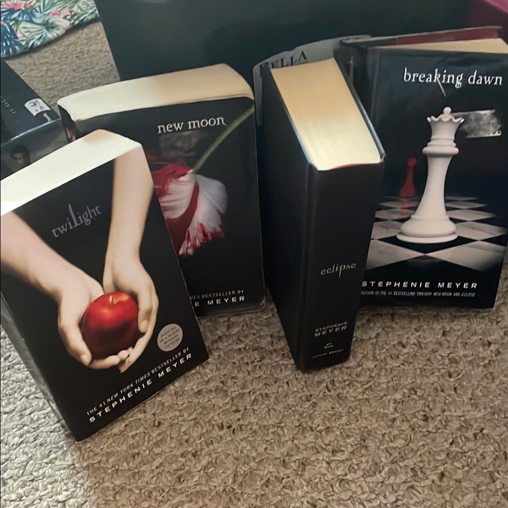 Twilight Saga Book Set